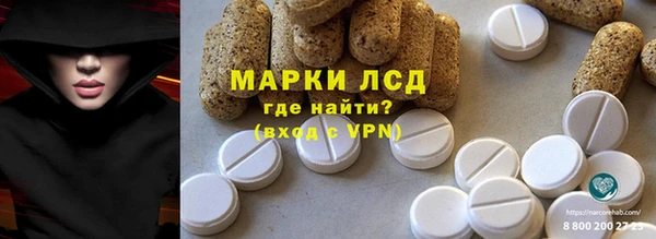 шишки Осинники
