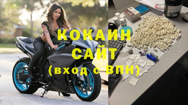 дмт Нягань