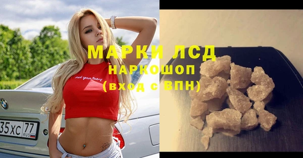 шишки Осинники