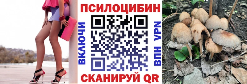 дарнет шоп  Каневская  Псилоцибиновые грибы прущие грибы 
